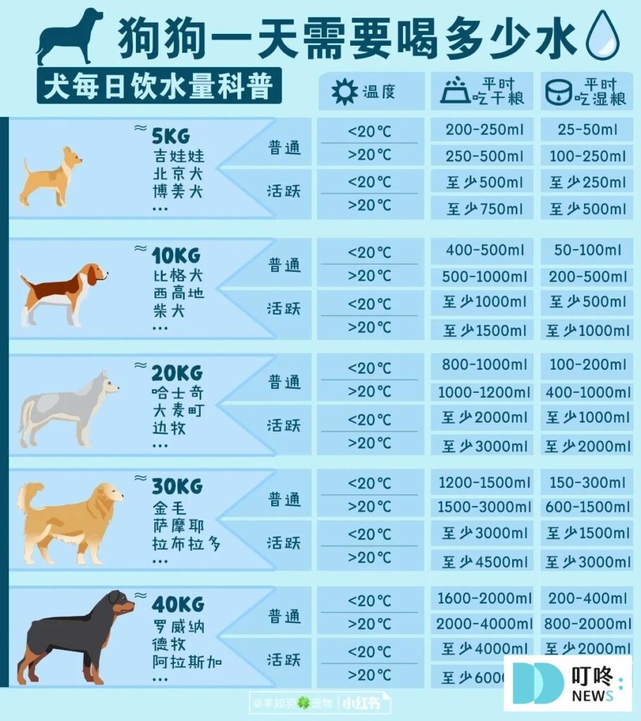 狗狗飲水量 狗一天要喝多少水