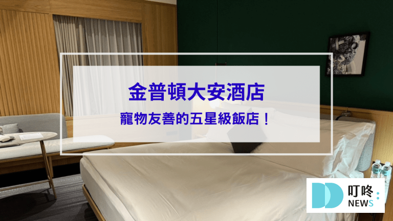 金普頓封面
