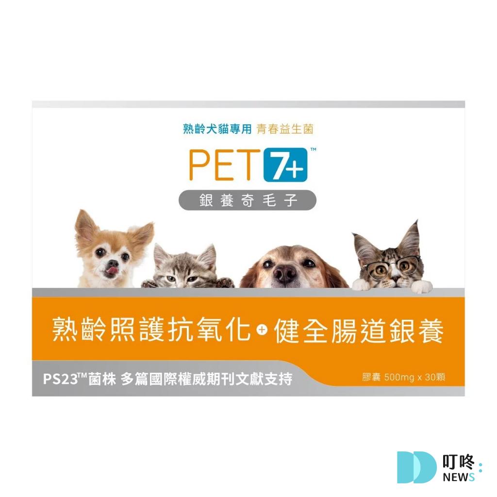 叮咚News｜分享新奇與樂趣