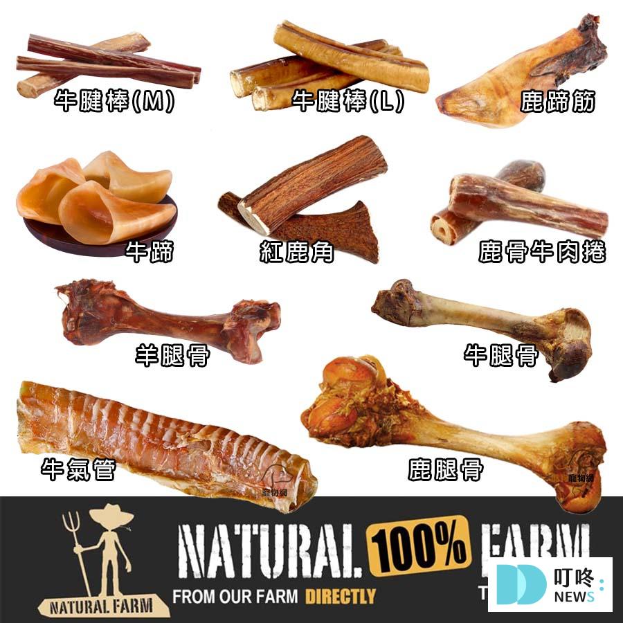狗狗肚子一直叫怎麼辦?很可能是這4大因素所造成!釐清狗狗肚子的所有問題,必看狗狗營養保健總整理 狗狗零食推薦 健康+無毒+營養 (2026熱銷款) 狗狗骨頭零食