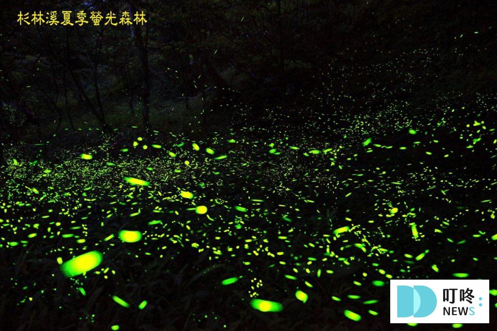 叮咚News｜分享新奇與樂趣