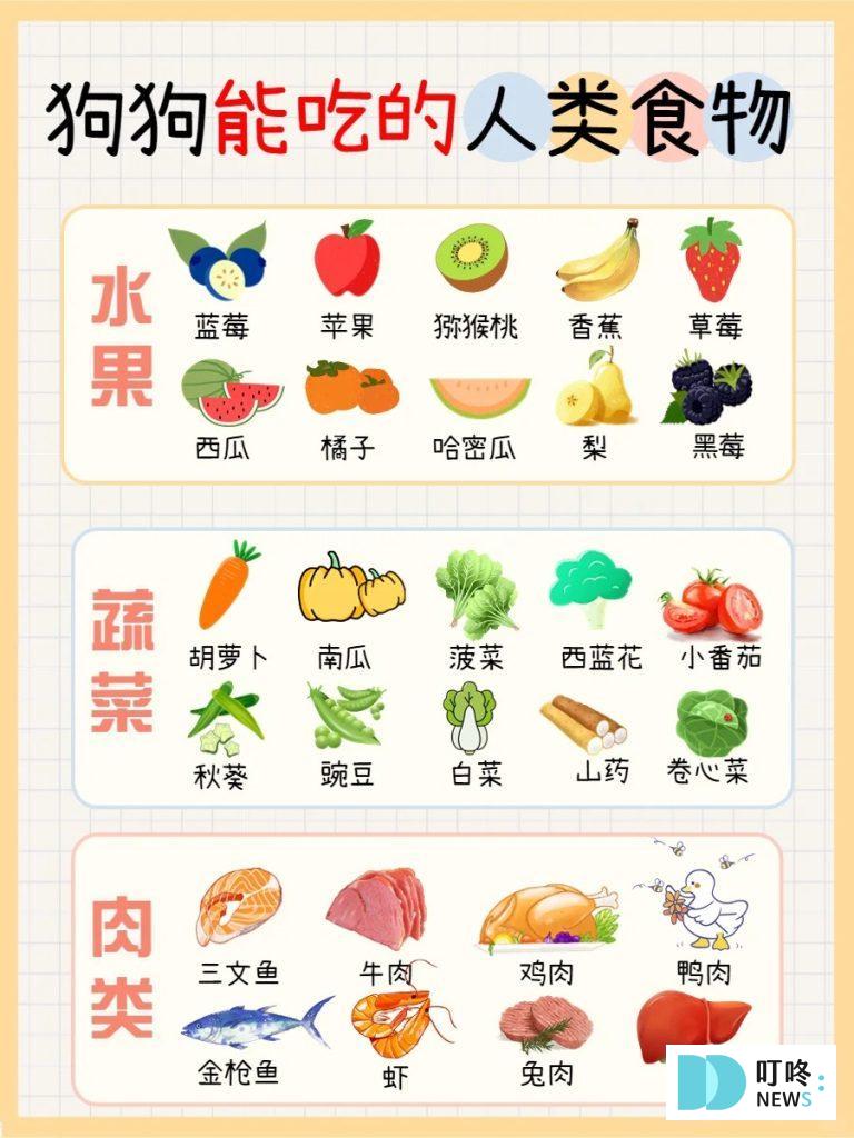 狗狗禁忌食物