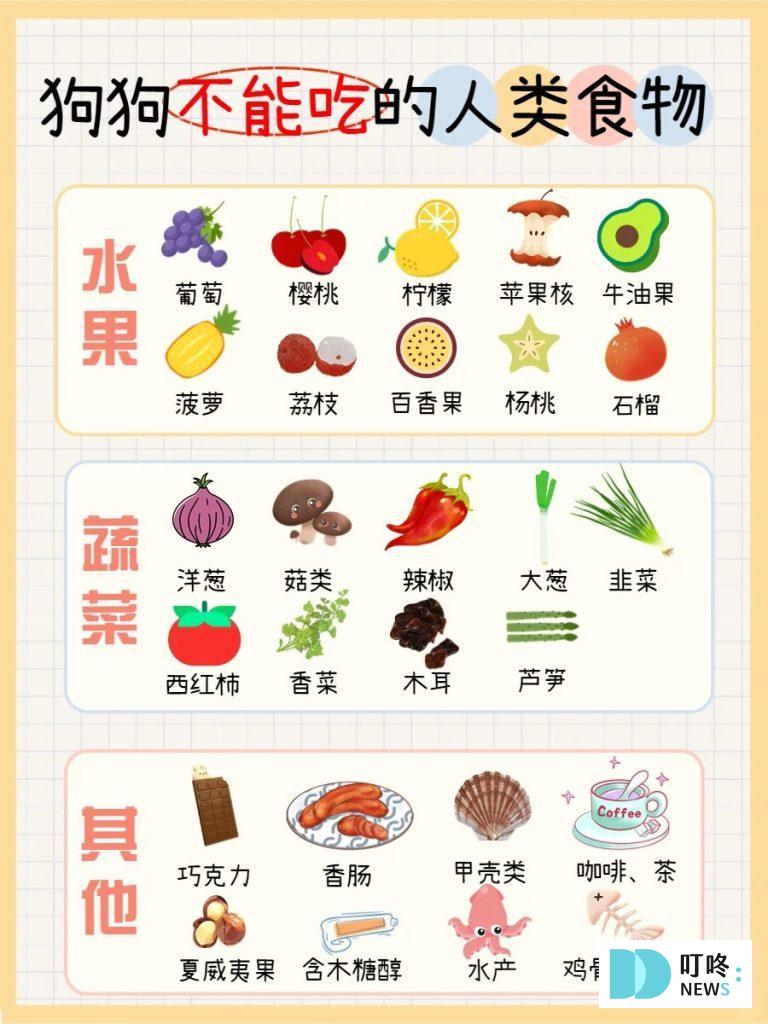 狗不能吃的食物