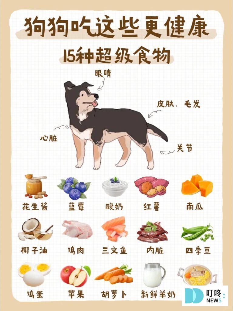 狗狗飲食健康