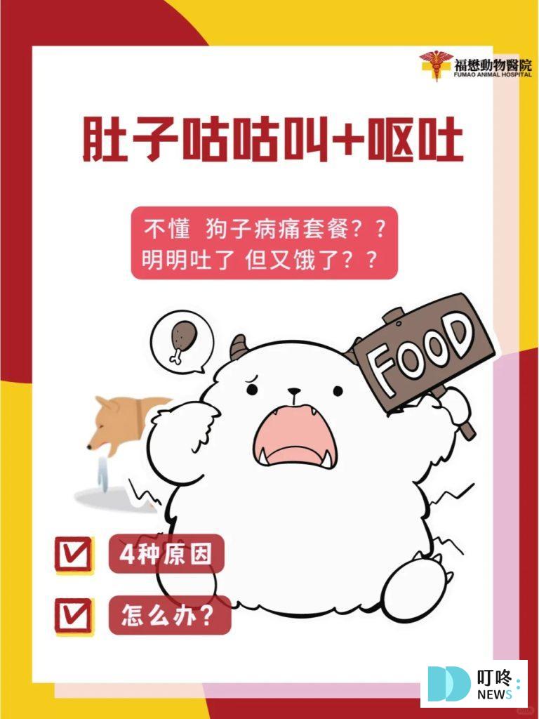 狗狗肚子一直叫
