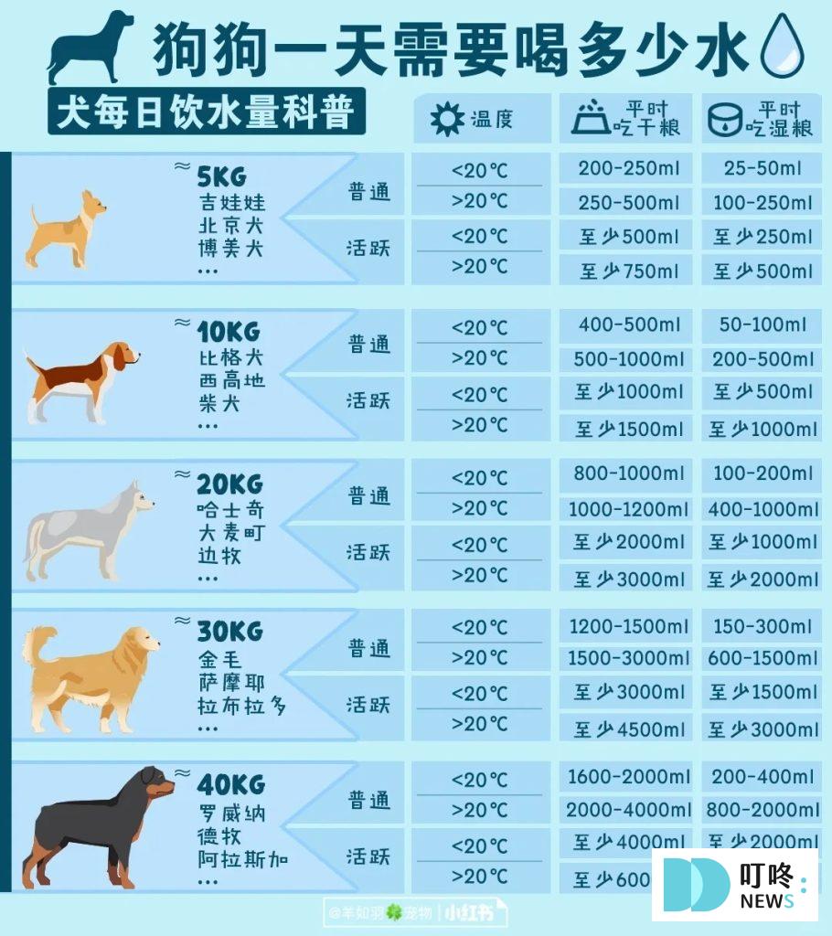 狗狗飲水量 狗一天要喝多少水