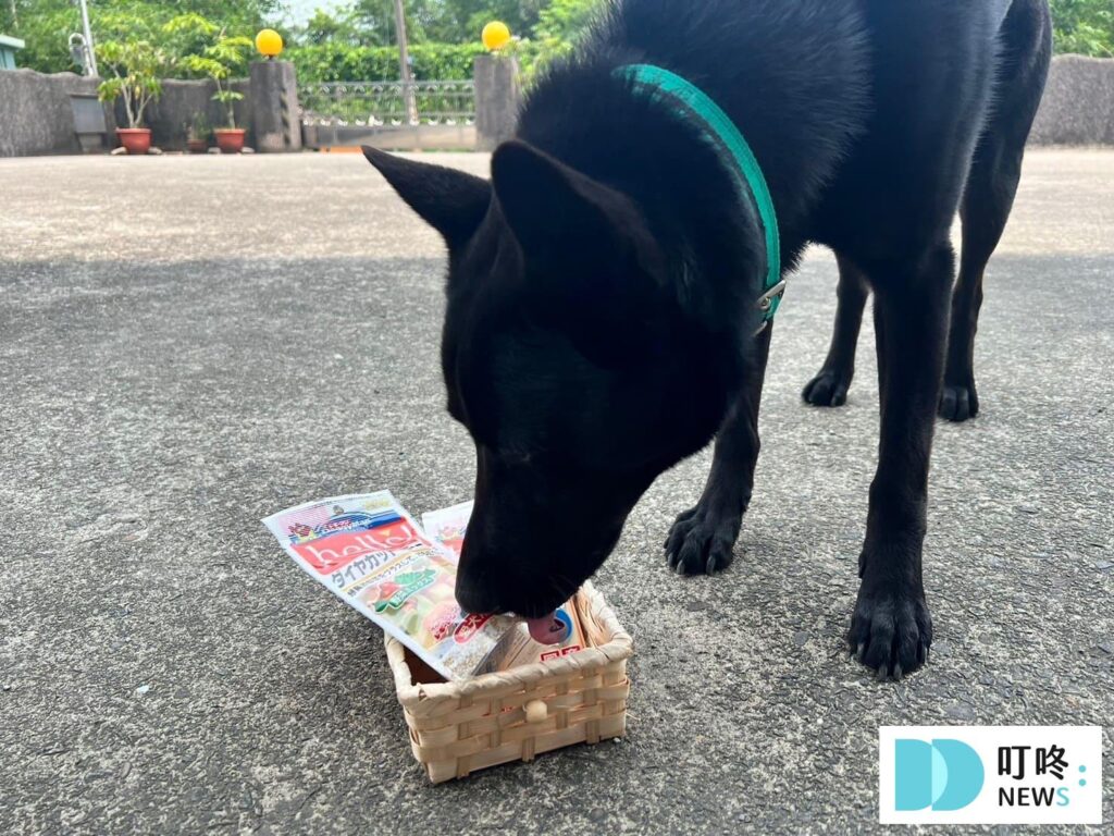 狗狗零食開箱|狗起司推薦:Hello角切起司塊、起司條真實評價、狗零食怎麼挑一次看 狗起司推薦:Hello蔬菜角切起司塊、起司條真實開箱評價3