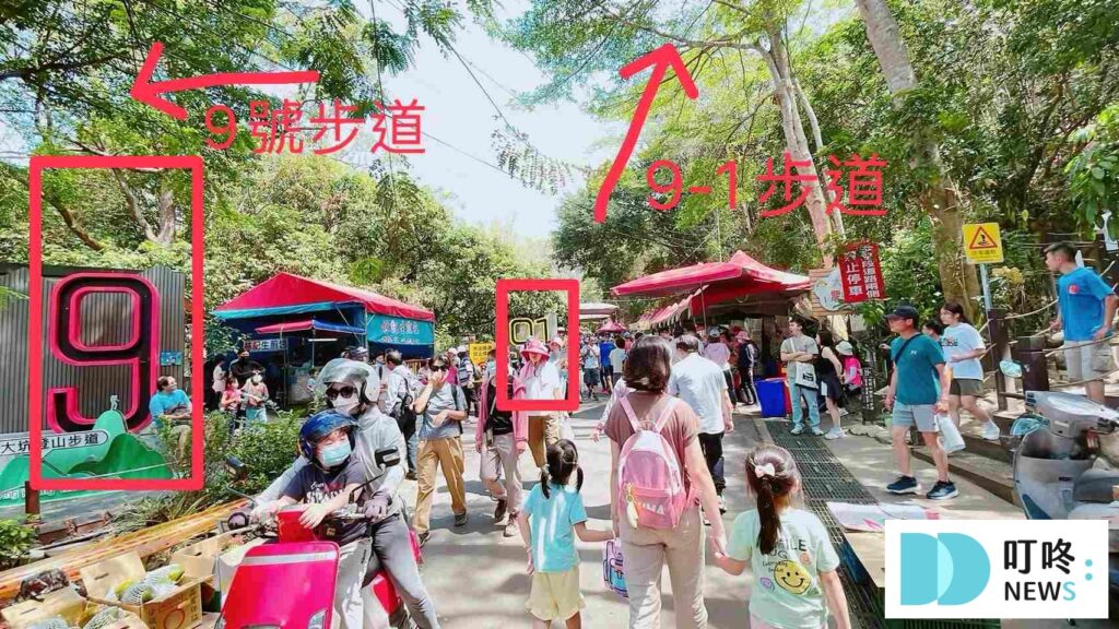 大坑9號步道入口-5