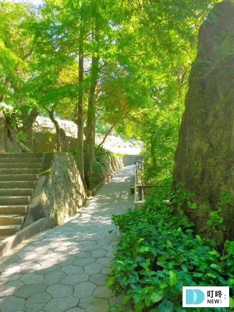 坪林茶葉博物館步道