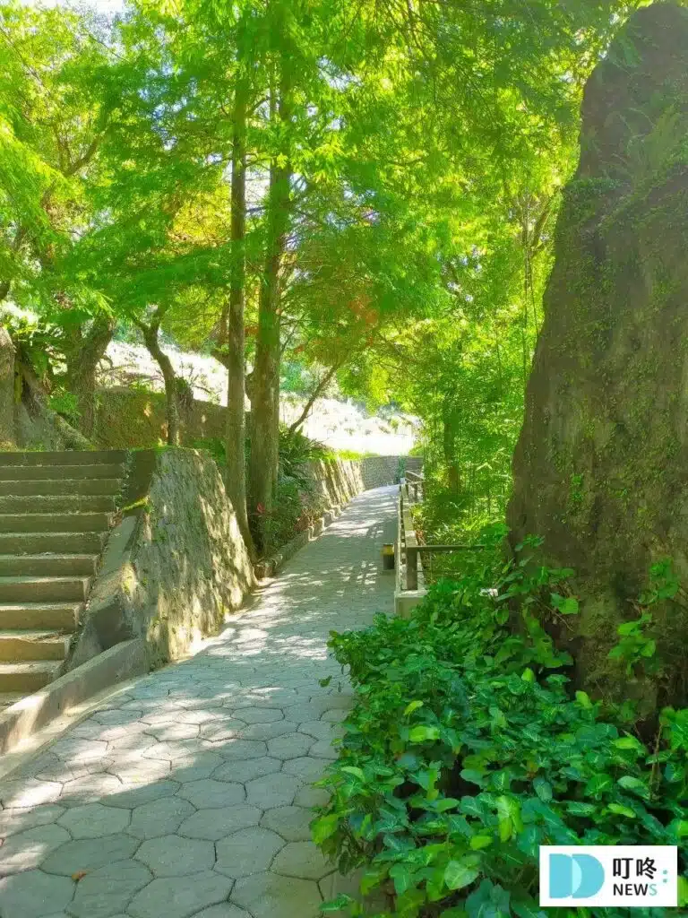 坪林茶葉博物館步道