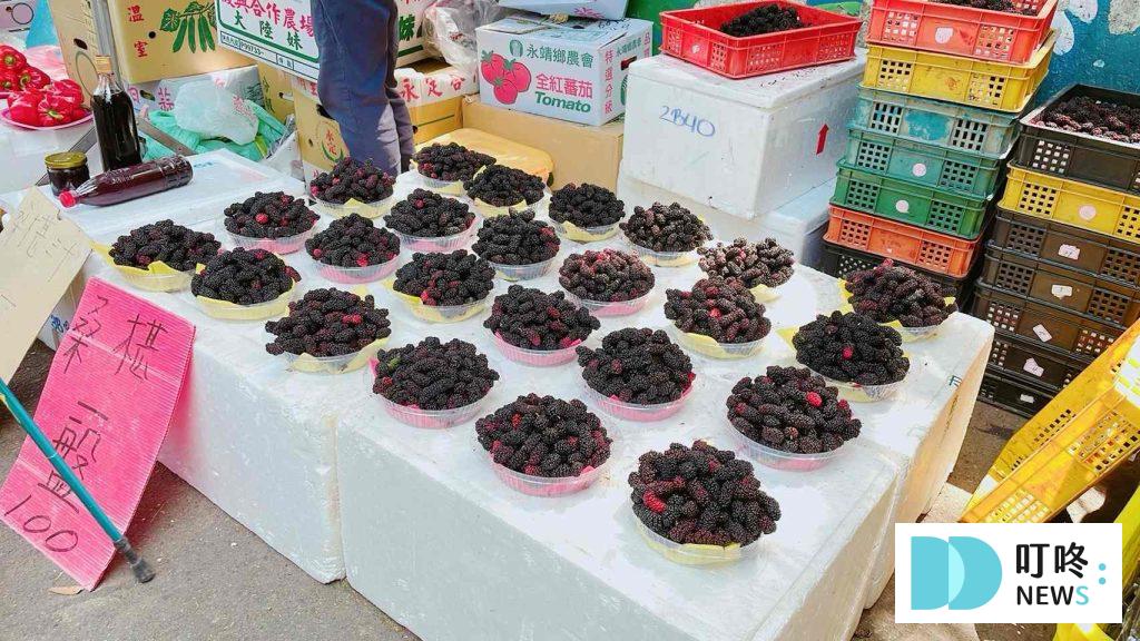 叮咚News｜分享新奇與樂趣