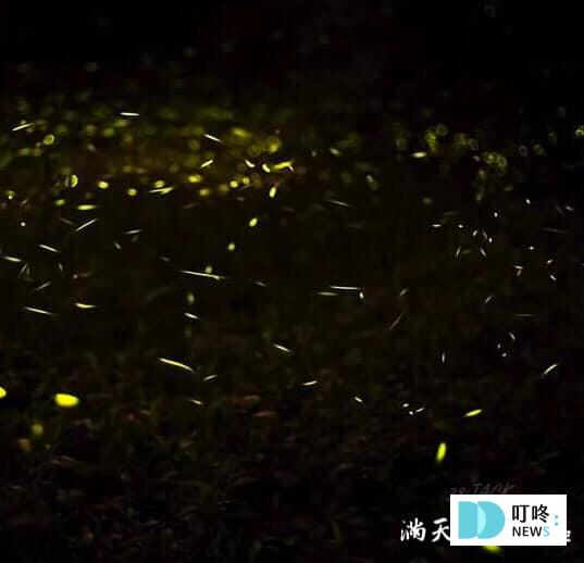 推薦露營地（中部-南投）：愛露營 滿天馨露營區