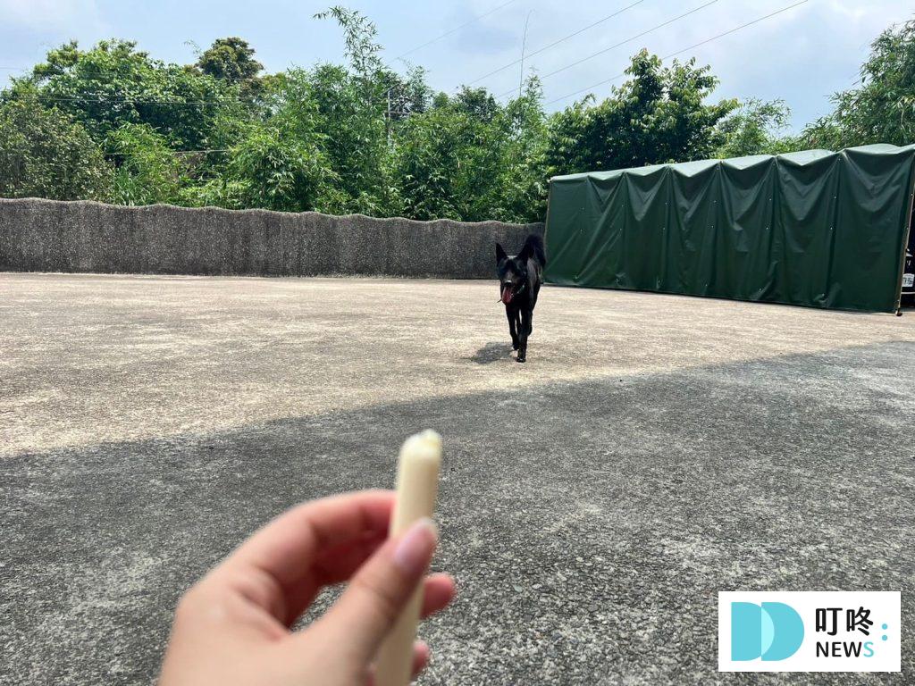 狗起司推薦：Hello起士條餵食2