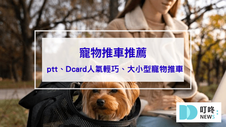 叮咚News｜分享新奇與樂趣