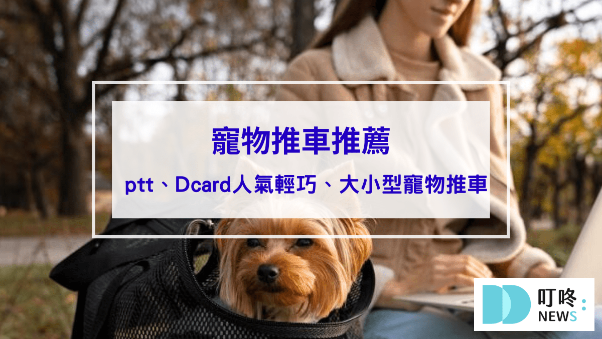 叮咚News｜分享新奇與樂趣