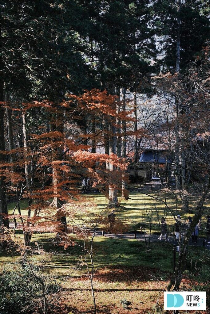 京都自由行怎麼玩?住宿、交通、景點跟著行家一起規劃旅遊攻略! 京都景點-三千院