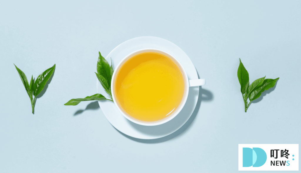 茶包推薦｜茶包挑選訣竅