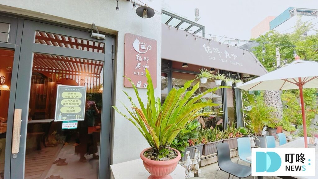 貓邸老咖｜用餐環境