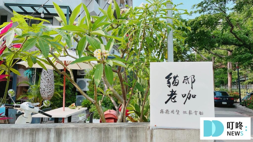 貓邸老咖｜貓店長與狐獴-12