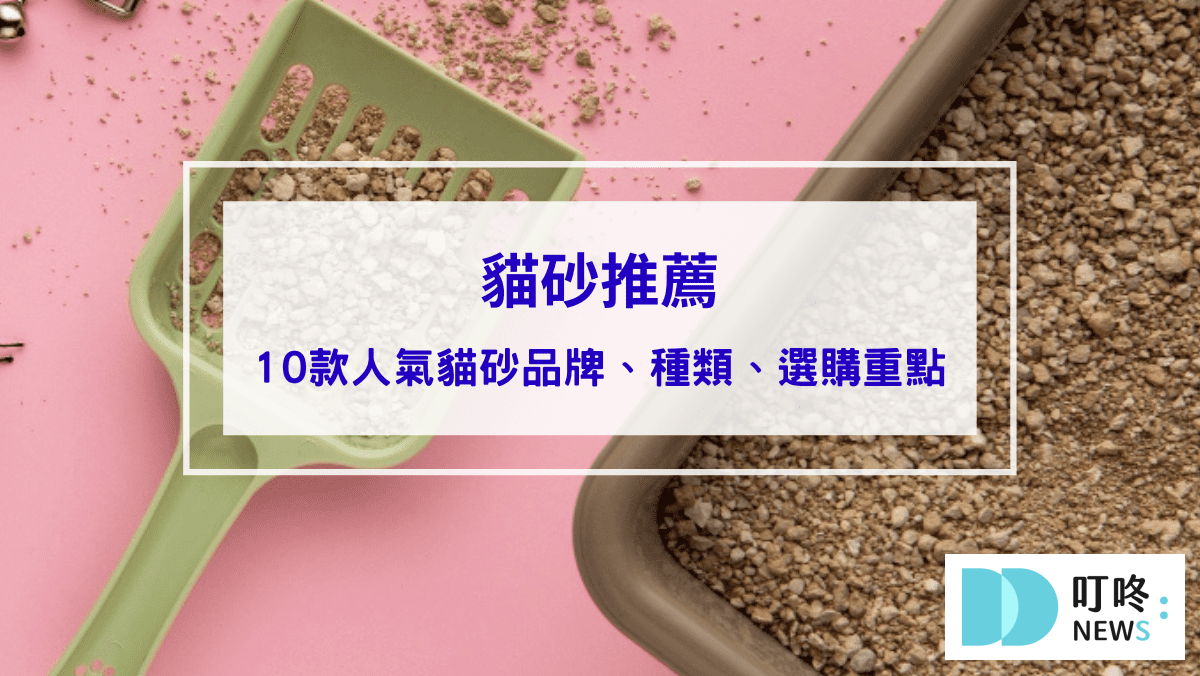 2026 貓砂推薦】ptt、Dcard十款超人氣貓砂品牌推薦，貓砂種類、選購重點、 使用方式一次看