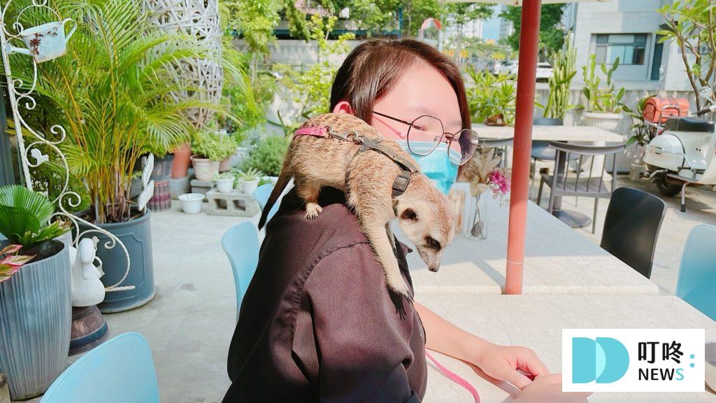 叮咚News｜分享新奇與樂趣