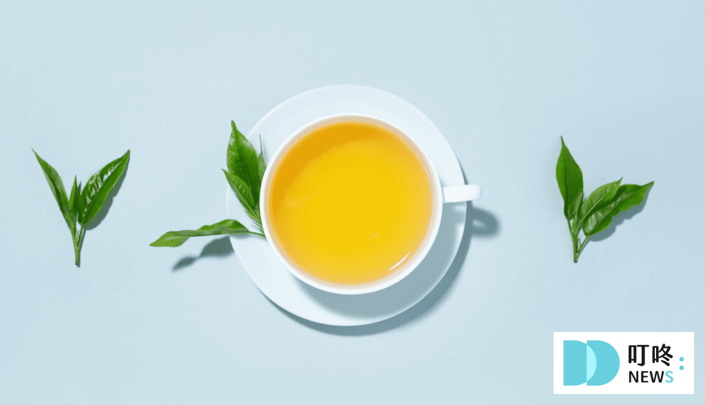 茶包推薦｜茶包挑選訣竅