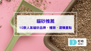 【2024 貓砂推薦】ptt、Dcard十款超人氣貓砂品牌推薦，貓砂種類、選購重點、 使用方式一次看