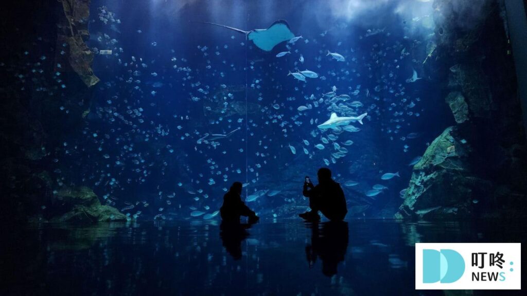 桃園避暑景點｜Xpark 水族館