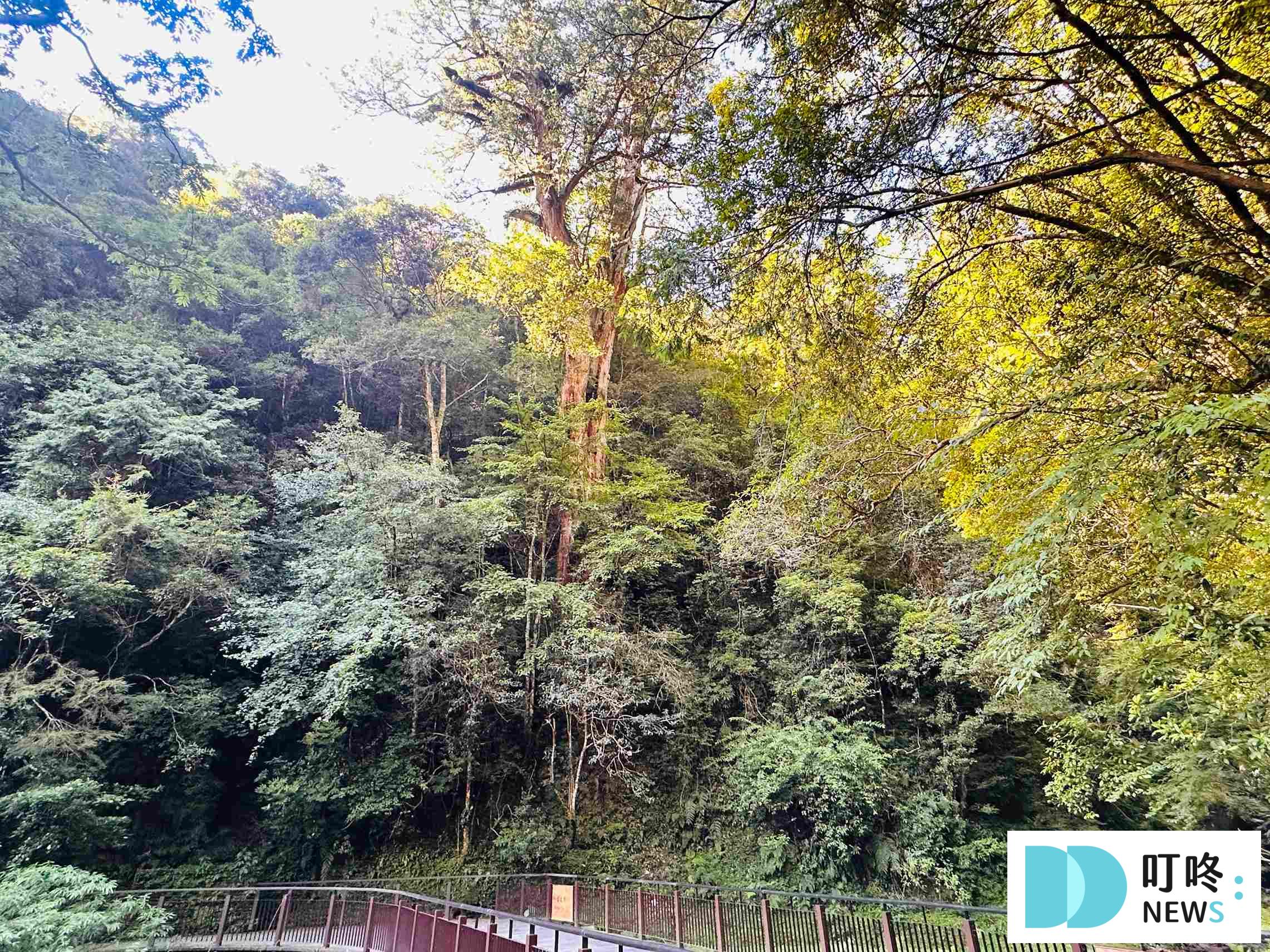 拉拉山行程_拉拉山國家公園步道