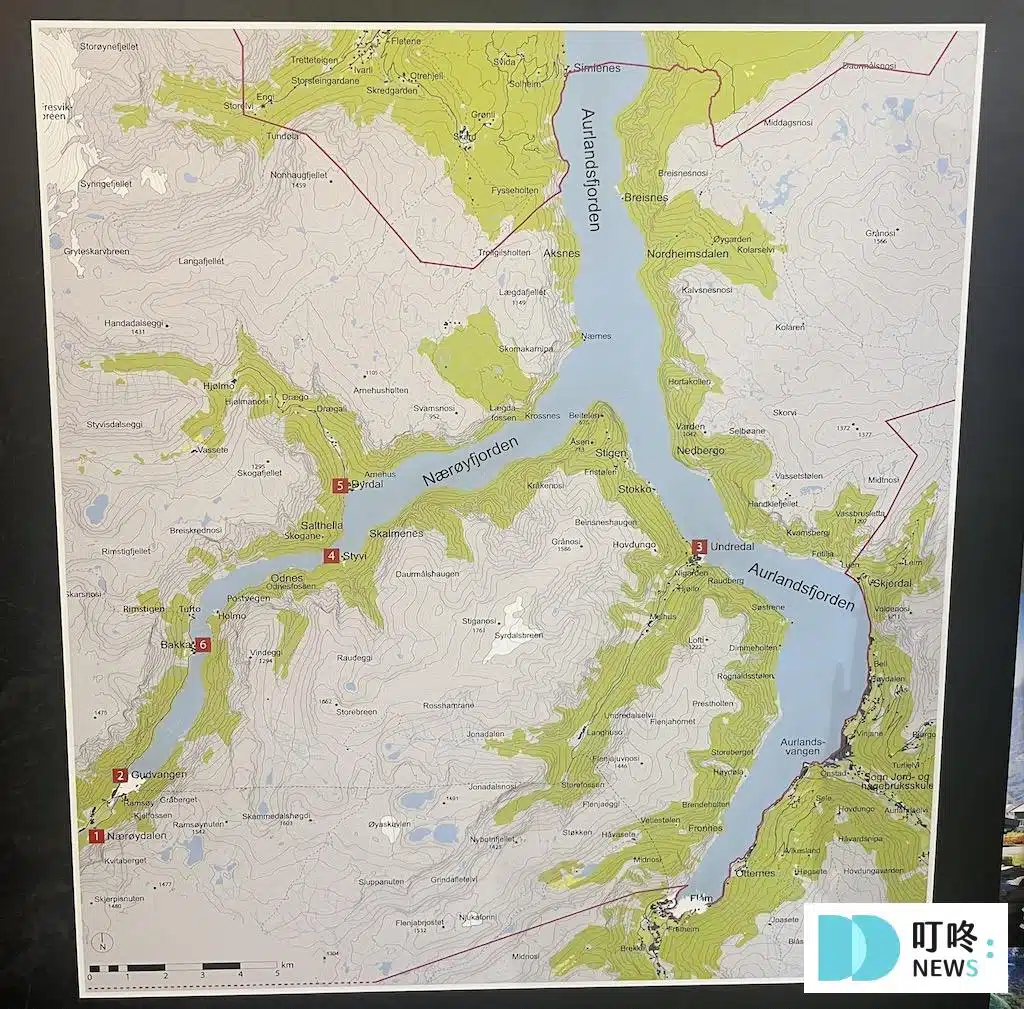 納勒伊峽灣（Nærøyfjord）游船-2