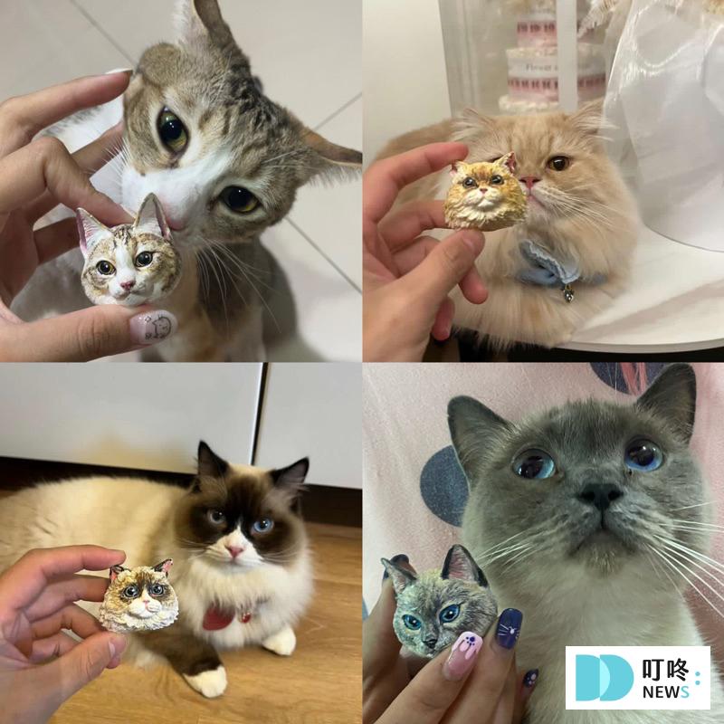 叮咚News｜分享新奇與樂趣