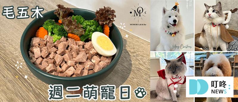 叮咚News｜分享新奇與樂趣