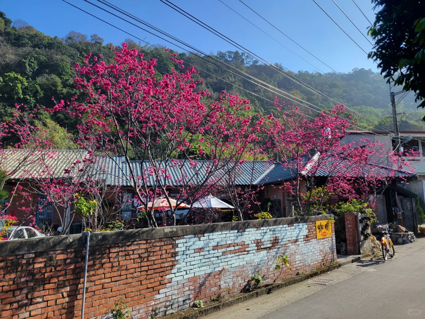 2026台灣賞櫻景點18處|北中南東全攻略,掌握轉瞬即逝的櫻花季,交通、賞花期、門票、周邊景點看這篇就夠! 叮咚News|分享新奇與樂趣