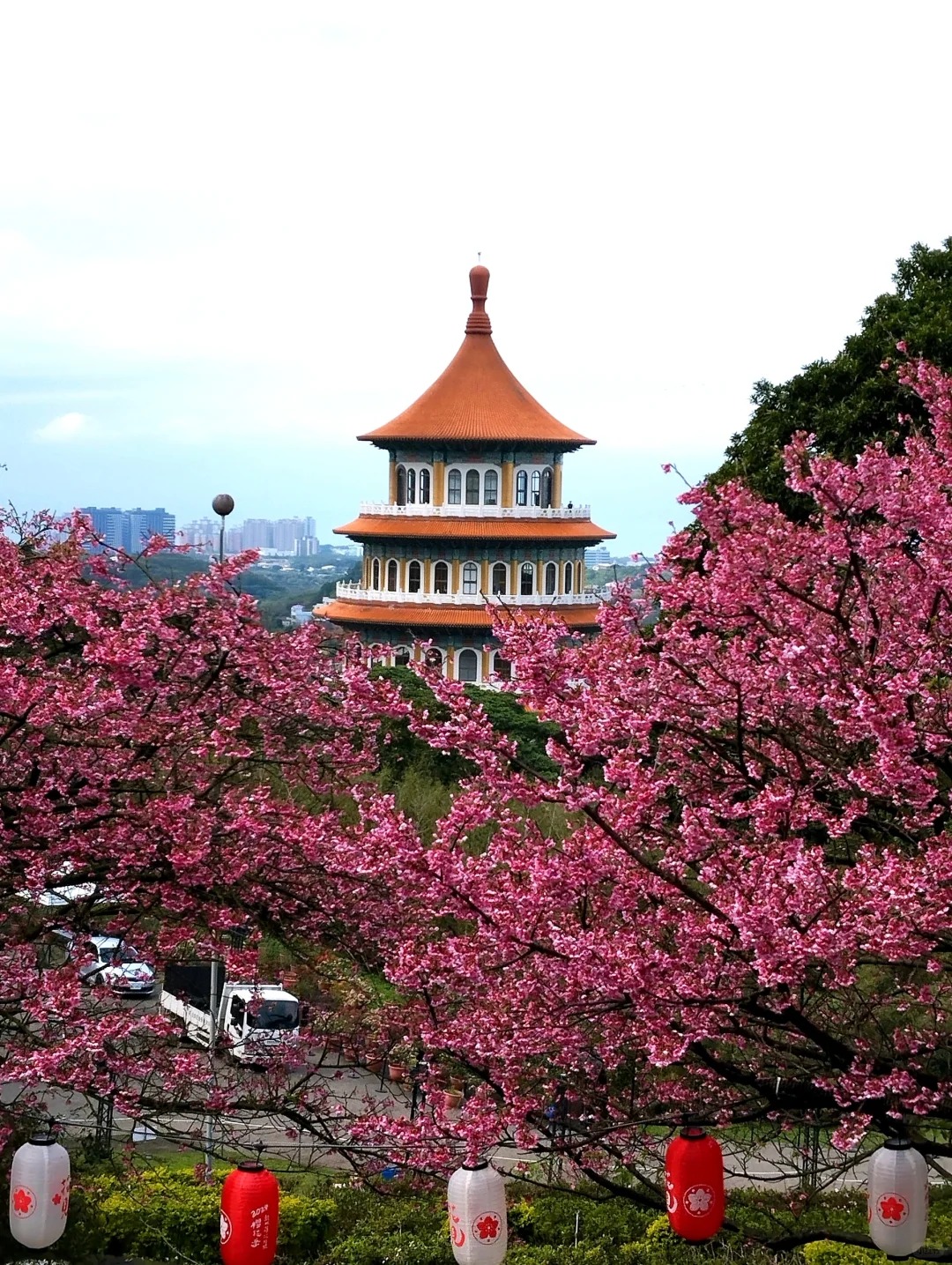 2026台灣賞櫻景點18處|北中南東全攻略,掌握轉瞬即逝的櫻花季,交通、賞花期、門票、周邊景點看這篇就夠! 叮咚News|分享新奇與樂趣