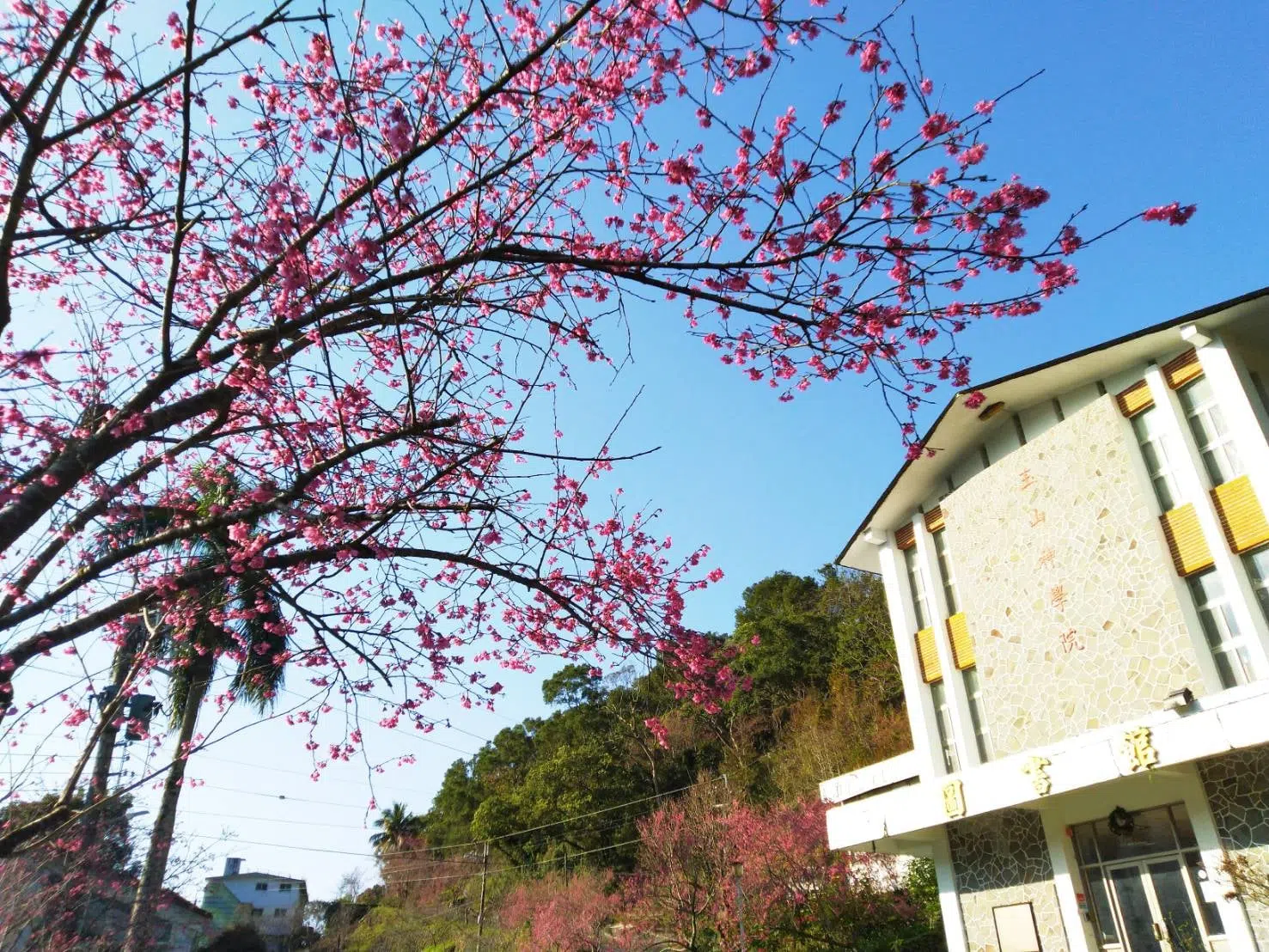 交通方式-2