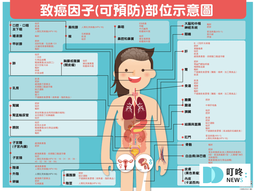 『最新』癌症篩檢補助哪裡做?5大癌篩擴大補助資格、金額、注意事項重點解析! 四、如何預防癌症?