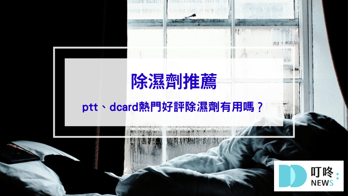 生活記事 除濕劑推薦|ptt、dcard熱門好評除濕劑有用嗎?居家必備防潮小物,對抗邊角黴菌,保持櫥櫃乾爽!