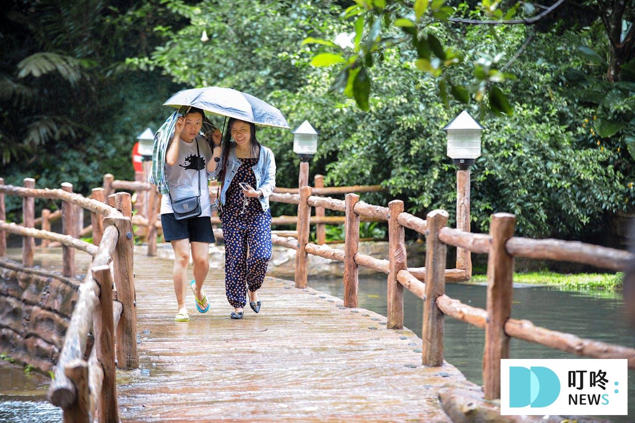 叮咚News｜分享新奇與樂趣