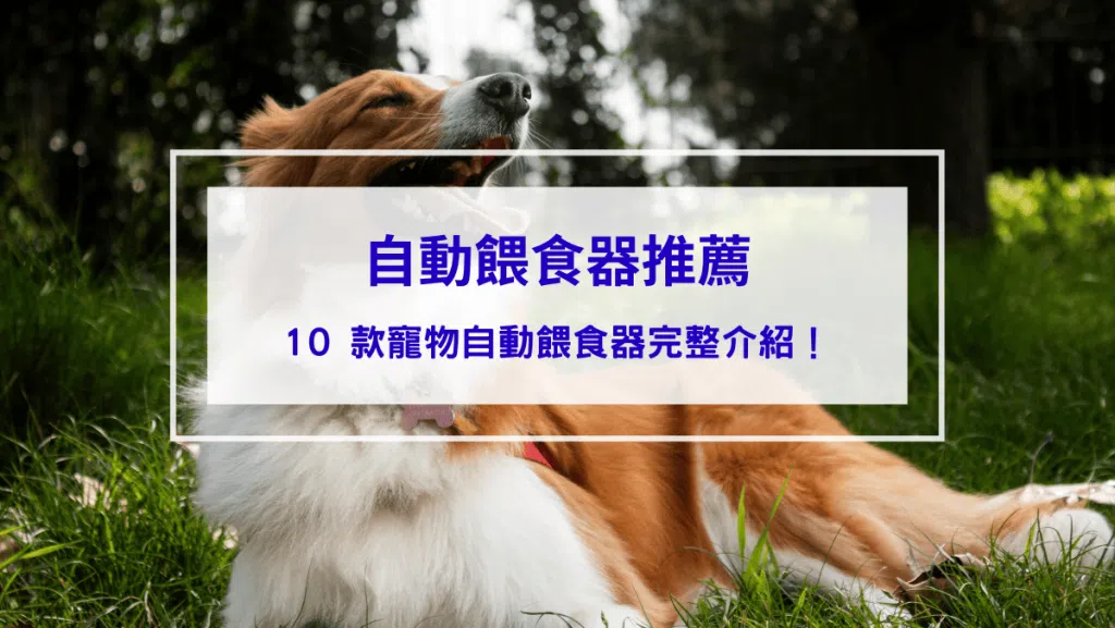 【2026自動餵食器推薦】10 款寵物自動餵食器完整介紹！型號、價格、購買管道一次整理！