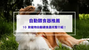 自動餵食器推薦