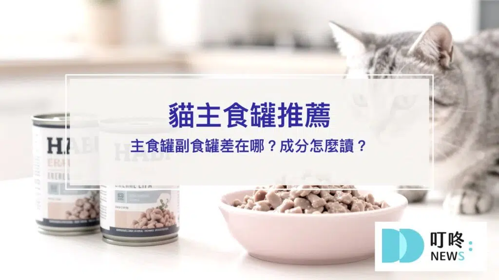 貓主食罐推薦【2026】｜主食罐副食罐差在哪？成分怎麼讀？新手貓奴選購指南