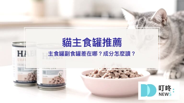 貓主食罐推薦|主食罐副食罐成分選購指南