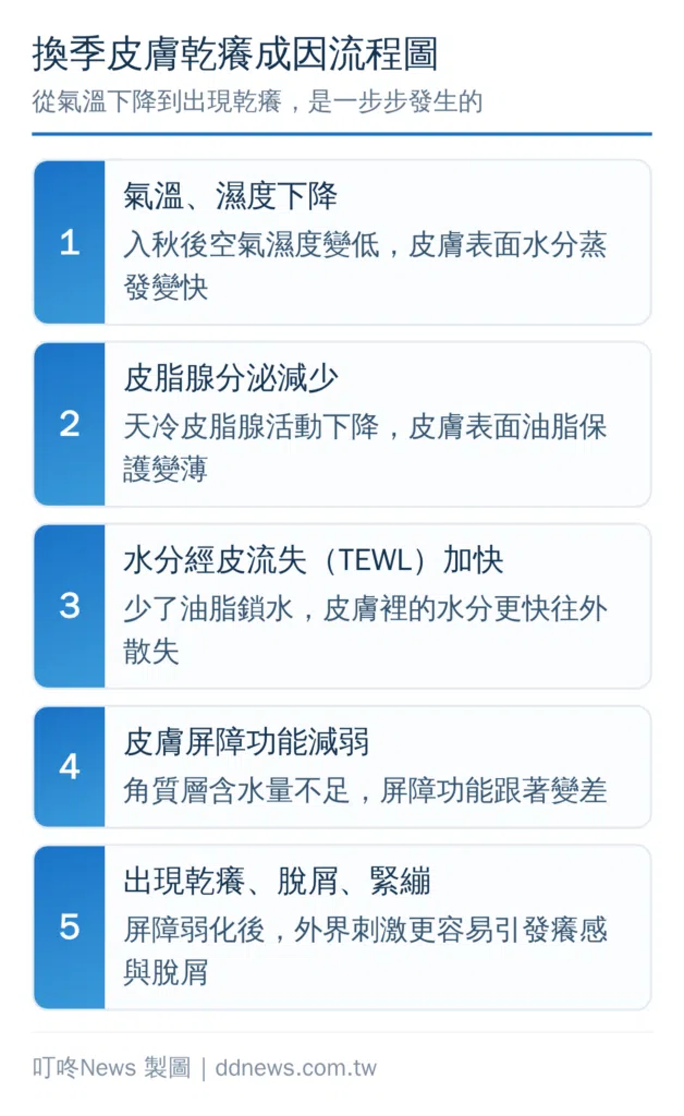 換季身體乳液推薦2026｜入秋皮膚乾癢救星，開架凡士林、妮維雅怎麼選