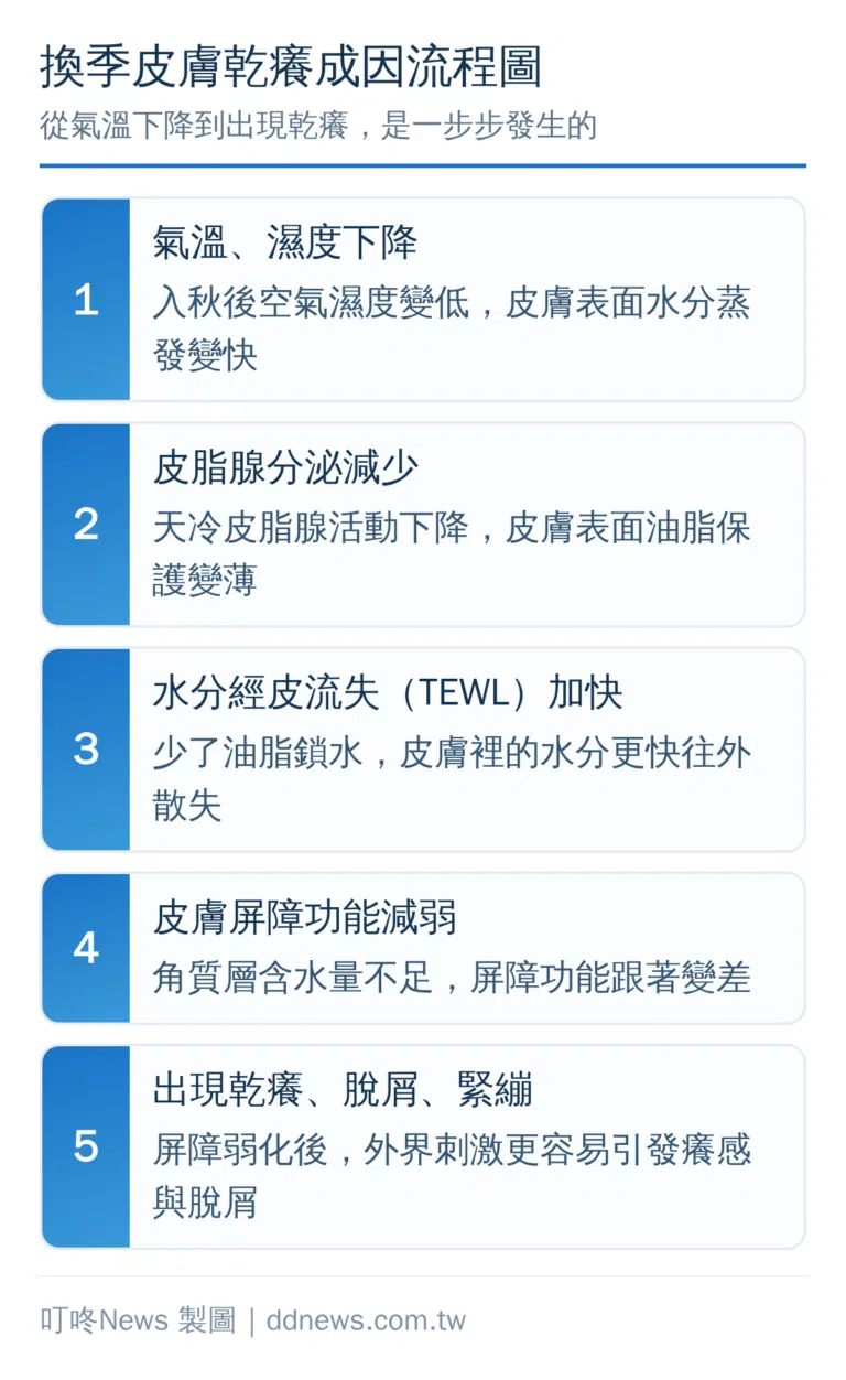 換季身體乳液推薦2026｜入秋皮膚乾癢救星，開架凡士林、妮維雅怎麼選